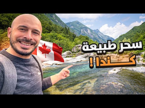 زرت اجمل غابات العالم في كندا 😍🇨🇦 – غابات الدببة 🐻