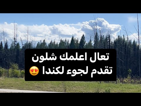 اول مرة تسمع هذا الكلام مختصر عن اللجوء الى كندا 🇨🇦