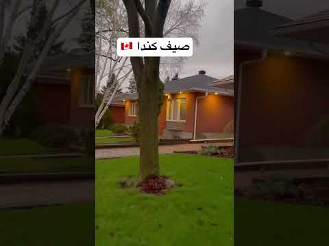 أجواء الصيف في كندا مساءً 🇨🇦 الهجرة إلى كندا 🇨🇦 #explore #الهجرة #كندا