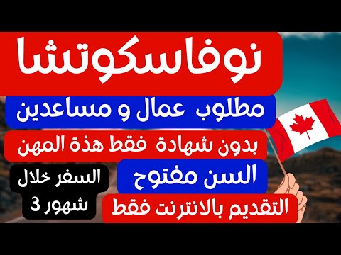 الهجرة الي كندا | مطلوب عمال و مساعدين في هذة المهن | بدون شهادة و السن مفتوح | التقديم اونلاين