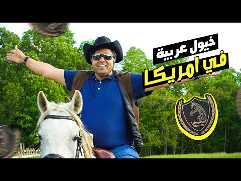 اجواء عربيه في قلب امريكا