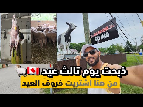 عيد الأضحى في كندا 🇨🇦 ها منين شريت خروف العيد مع أجواء الذبح 🐏 تقبل الله منا و منكم 🙏🏼🇨🇦