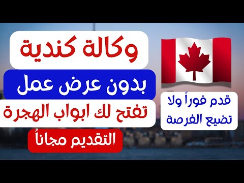 عاجل وكالة كندية للتوظيف الدولي بدون شرط عقد عمل تساعدك للحصول علي الاقامة الدائمة