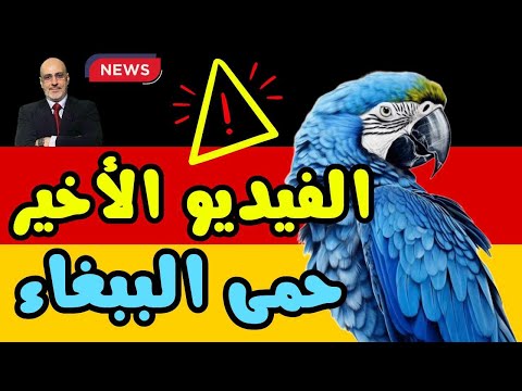 بين ببغاء الاعلام الألماني و اخطبوط مجلس اللوردات البريطاني. رمضان كريم. أخبار العالم من ألمانيا