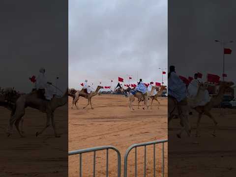 Tan-Tan Moussem #Morocco 2024