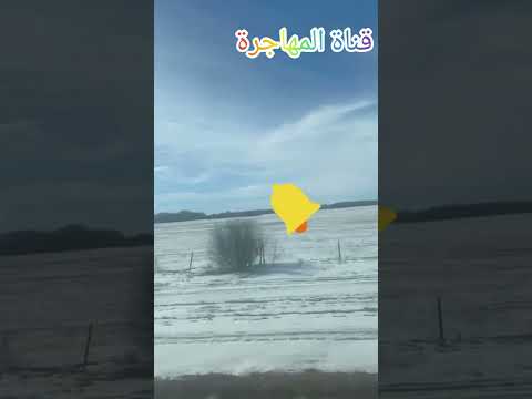 هل كندا ستبدأ بغلق أبواب الهجرة ؟  معلومات حول الموضوع