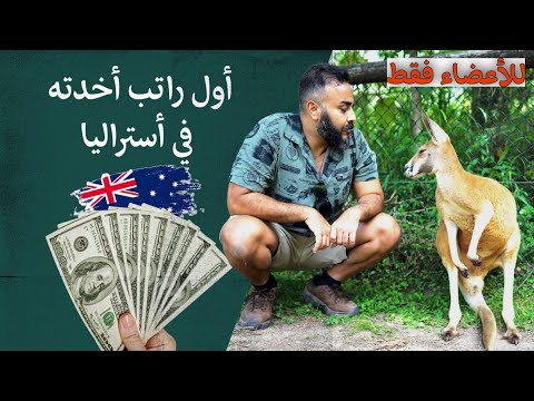 للأعضاء فقط، حكاية أول مقابلة عمل و كام كان راتب أول وظيفة في أستراليا 🇦🇺