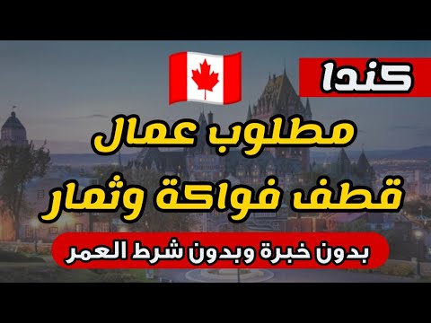 كندا تطلب عمال قطف فواكه بدون خبرة وبدون شرط العمر رواتب 20 دولار في الساعة