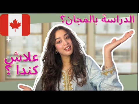 جاوبت على أسئلتكم ، الخدمة في كندا 🇨🇦/ الدراسة ChitChat