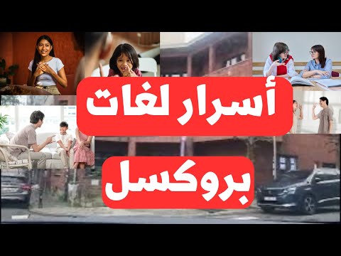 هذه هي اللغات الأكثر استخداماً في بروكسل 🇧🇪 لغات بروكسل تعرف عليها ‼️