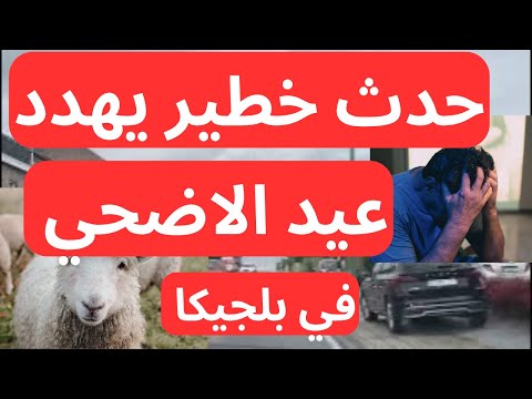 كارثة تُصيب مئات الأغنام في بلجيكا قبل عيد الاضحيه 2024 ❌🐏 المسلمين في بلجيكا