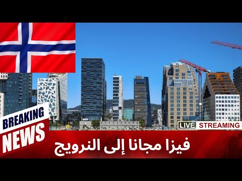 فيزا مجانية للجميع للسفر إلى النرويج 2024: حلم السفر إلى النرويج مجانًا أصبح حقيقة