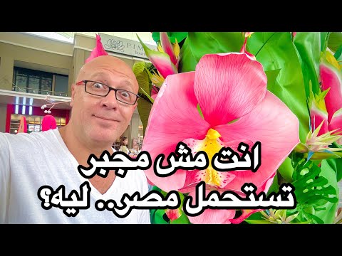 الرد على بتوع: انت لازم تتحمل بلدك في ازمتها 😂 ليه هيه بتحارب وانا معرفش