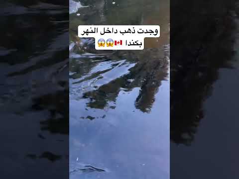 وجدت ذهب في كندا 🇨🇦😱😱