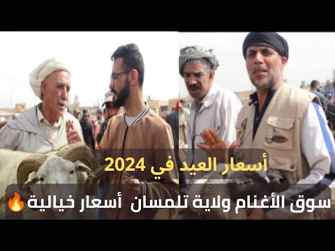 سوق المواشي اليوم في ولاية تلمسان أسعار خيالية 🔥🔥