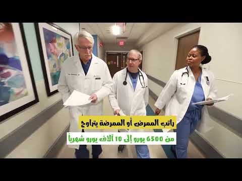 العمل في لوكسمبورغ.. الشروط والمهن المطلوبة