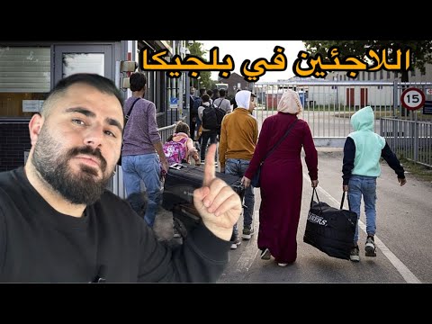 أخط تطورات اللاجئين في بلجيكا 🇧🇪 احصائية اللجوء ، هل يمنحون الاقامة؟