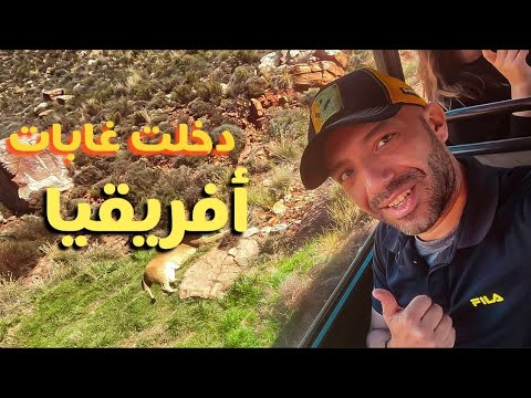 اخطر مناطق جنوب أفريقيا الاسد كان علي بعد متر