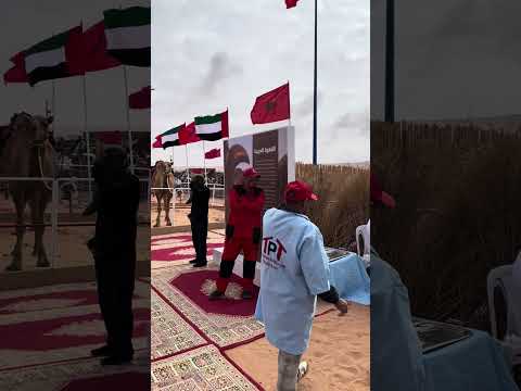Sahara Morocco 🇲🇦 Tan-Tan Moussem and United Arab Emirates 🇦🇪 2024