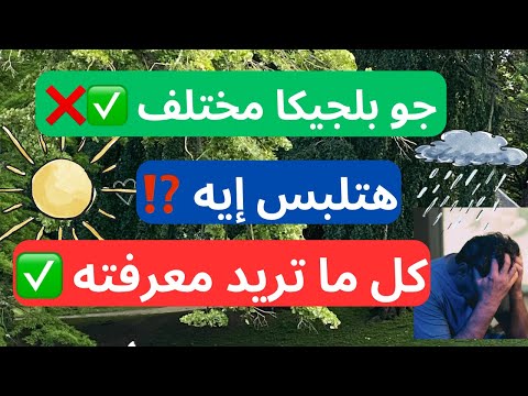 الجو في بلجيكا💪🚶‍♀️يارب مفيش مطر لحد ما اروح البيت 🏠