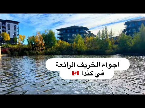 قوانين كندا الجديدة للهجرة، رحت لمحل الذهب. جاوبت على اسئلتكم 😍