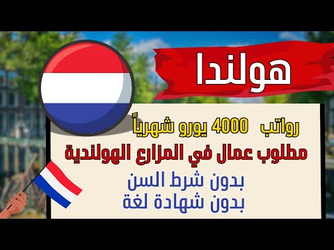 فرصة العمل في مزارع هولندا   بدون شروط | راتب يصل الي 4000 يورو