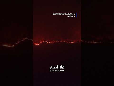 صور جوية لحرائق الغابات في كوريا الجنوبية #shortsvideo #shortvideo #shorts #short