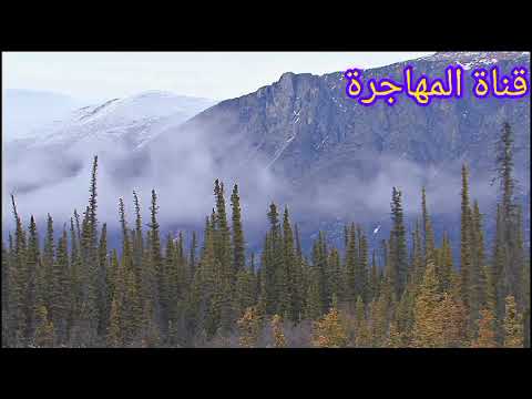 اخبار سارة و غير سارة 😱 و تطورات جديدة في ملف الهجرة إلى 🇨🇦