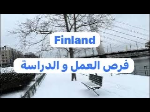 فنلندا 🇫🇮 عقود عمل و اسهل الطرق للهجرة إلى أوروبا . خبر غير مفرح البطالة في تزايد..