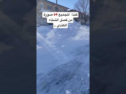 فصل الشتاء الكندي 🇨🇦 الهجرة إلى كندا 🇨🇦 2025 #شورتات_يوتيوب #اكسبلور #الهجرة