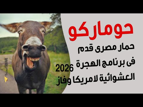 فوز حمار فى الهجره العشوائية لامريكا 2026
