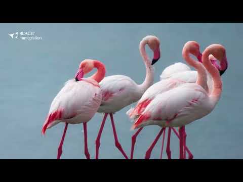 قبرص وجهتك التالية