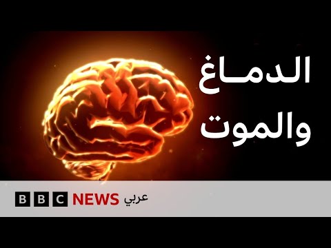 ماذا يحدث في أدمغتنا عندما نموت؟