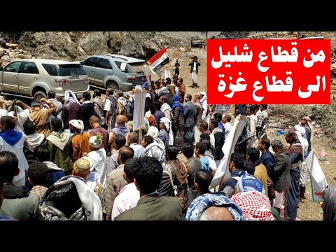 عاجل اليمن مظاهرة كبرى في يوم القدس العالمي وشليل تتصدر مشهد الضالع في احياء هذه المناسبة