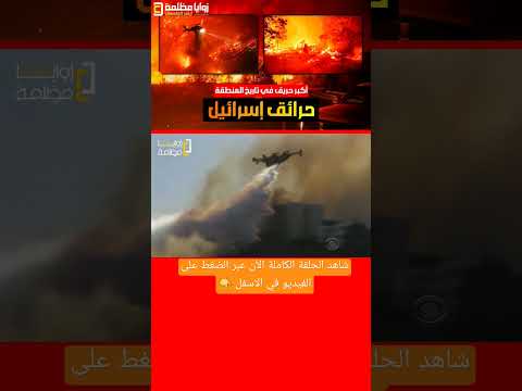 حرائق الغابات في اسرائيل 🔥🔥