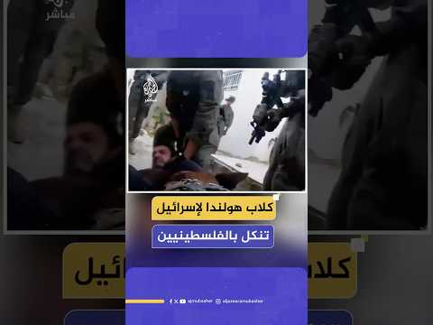 نهشت أجساد الفلسطينيين.. تحقيق صحفي يكشف توريد شركات هولندية للكلاب البوليسية المدربة لإسرائيل
