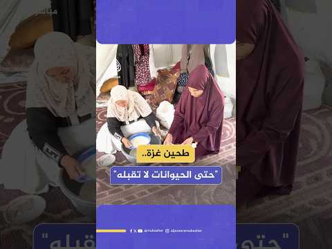 أهل غزة يأكلون الطحين مع الحشرات للبقاء على قيد الحياة