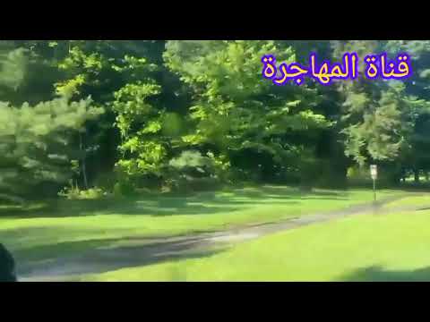 #٣ مسارات للهجرة إلى كندا#