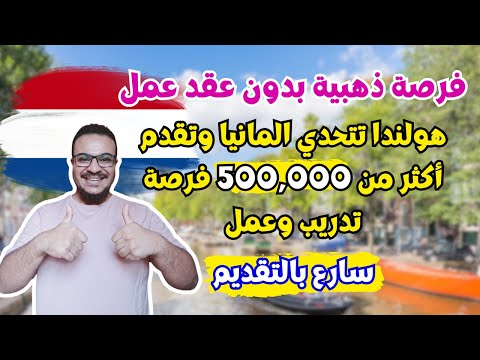فرصة العمر بدون عقد عمل | هولندا تعلن عن 500,000 فرصة تدريب وعمل بدون تعقيدات