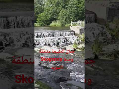 جمال الطبيعة في منطقة skogstorp #اكسبلور #news #مراد_عودة
