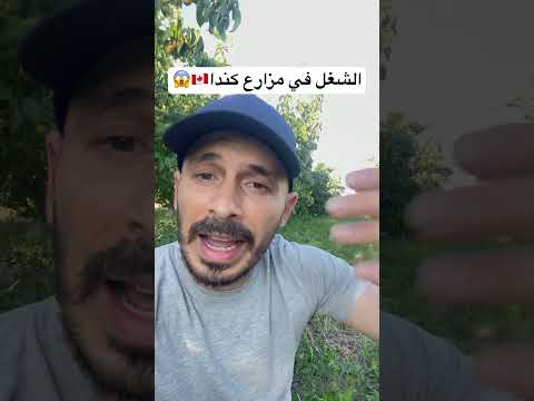 الشغل في مزارع كندا 🇨🇦😱😱