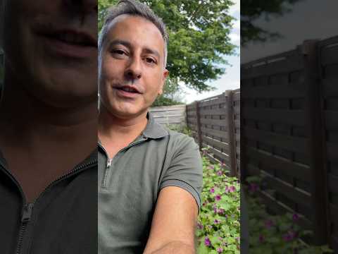 كيفية الحصول على بذور الخبيزة بعد ما أزهرت #newshorts
