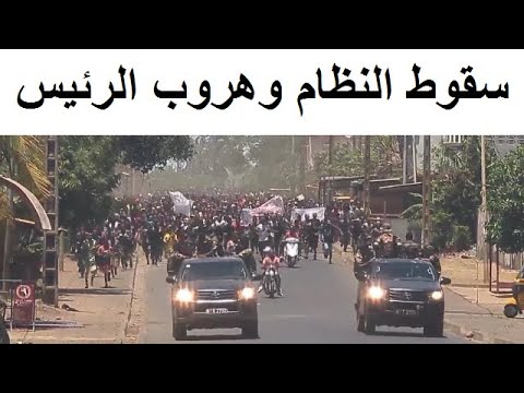 لحظة هروب الرئيس ونزول الجيش الى الشوارع