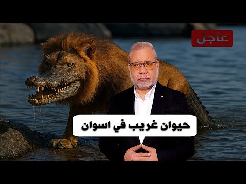 حكايات عمو ماجد شوف واتكيف 💰 هل تنازل أولياء الله ‼️
