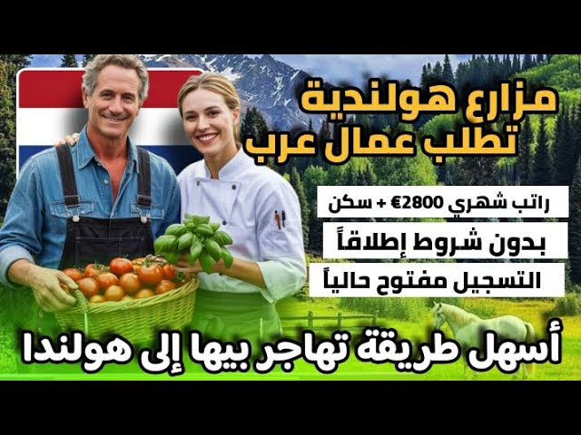 هاجر و اشتغل في مزارع هولندا مقابل راتب شهري و سكن و الفيزا| بدون شروط اطلاقا و لكل الجنسيات العربية