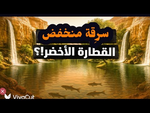 سَرِقَة منخفض القطارة الأخضر! حتى الحلم لم ينجو من السرقة والخطف! #معركة_الوعي