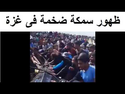 معجـزة عجيبة على سواحل غـزة اليوم