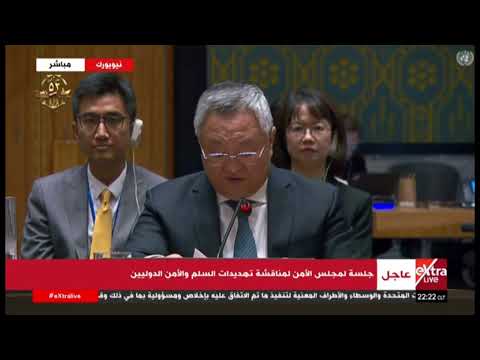 كلمة مندوب الصين خلال جلسة لمجلس الأمن لمناقشة تهديدات السلم والأمن الدوليين
