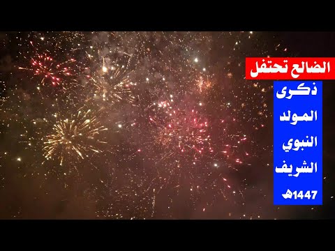 شاهد احتفالات كبرى بمناسبة المولد النبوي الشريف 1447هـ في مختلف محافظات الجمهورية اليمنية