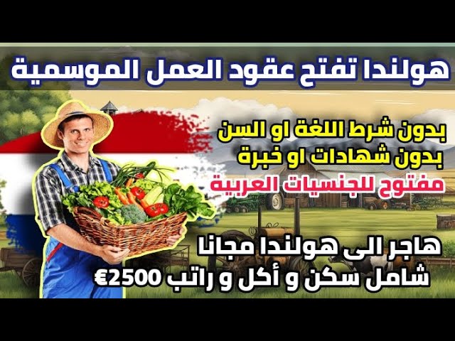 هولندا تفتح فيزا العمل الموسمي للجنسيات العربية| عقد عمل+ راتب شهري+ سكن| بدون شروط اطلاقا